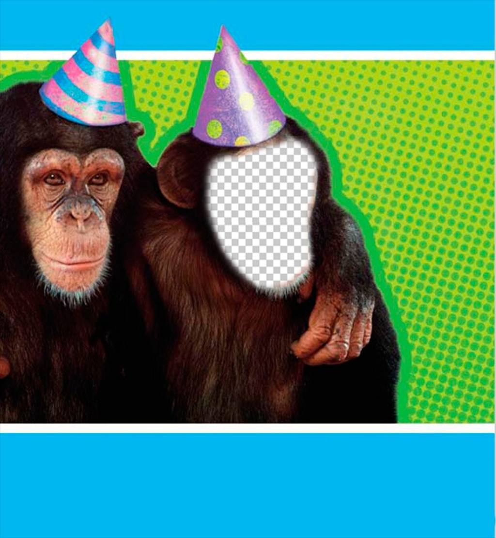 Fotomontaje con un mono disfrazado con un gorro de fiesta. ..