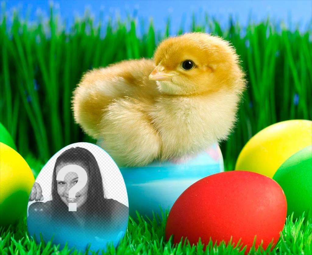 Pon tu foto en este huevo de Pascua de color azul ..