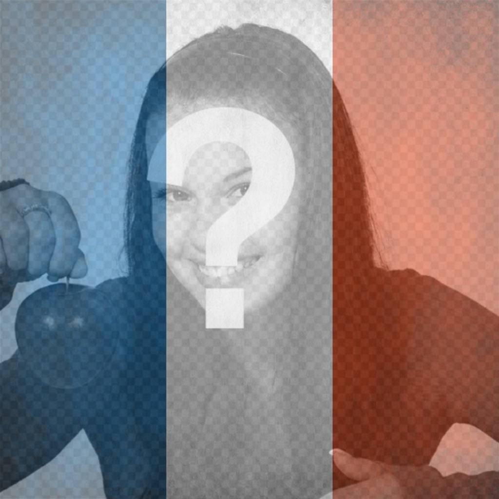 Bandera de la república Francesa para poner en tu foto de pefil de facebook o twitter. ..