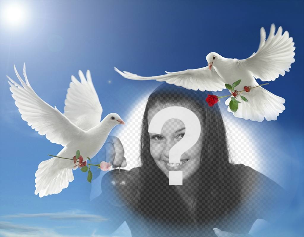 Fotomontaje de la Paz con dos palomas blancas volando ..