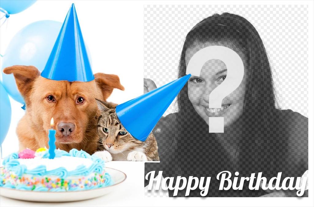 Tierna felicitación de cumpleaños con un perro y un gato ..