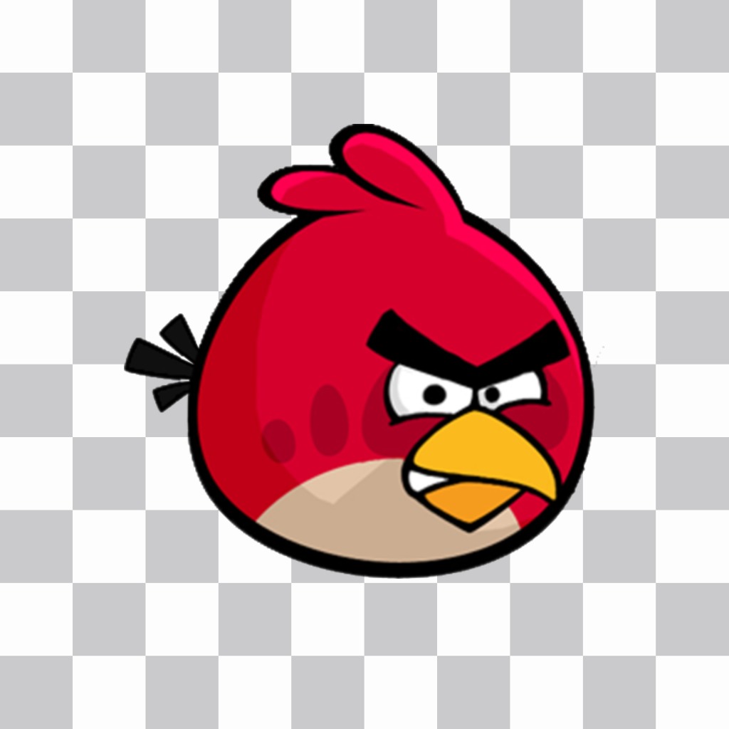Big Bird para poner encima de tus fotos si te gusta Angry Birds ..