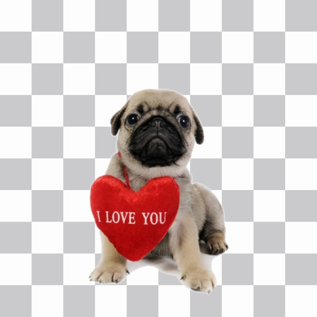 Fotomontaje de un perrito con un corazón para añadir en tus fotos gratis ..