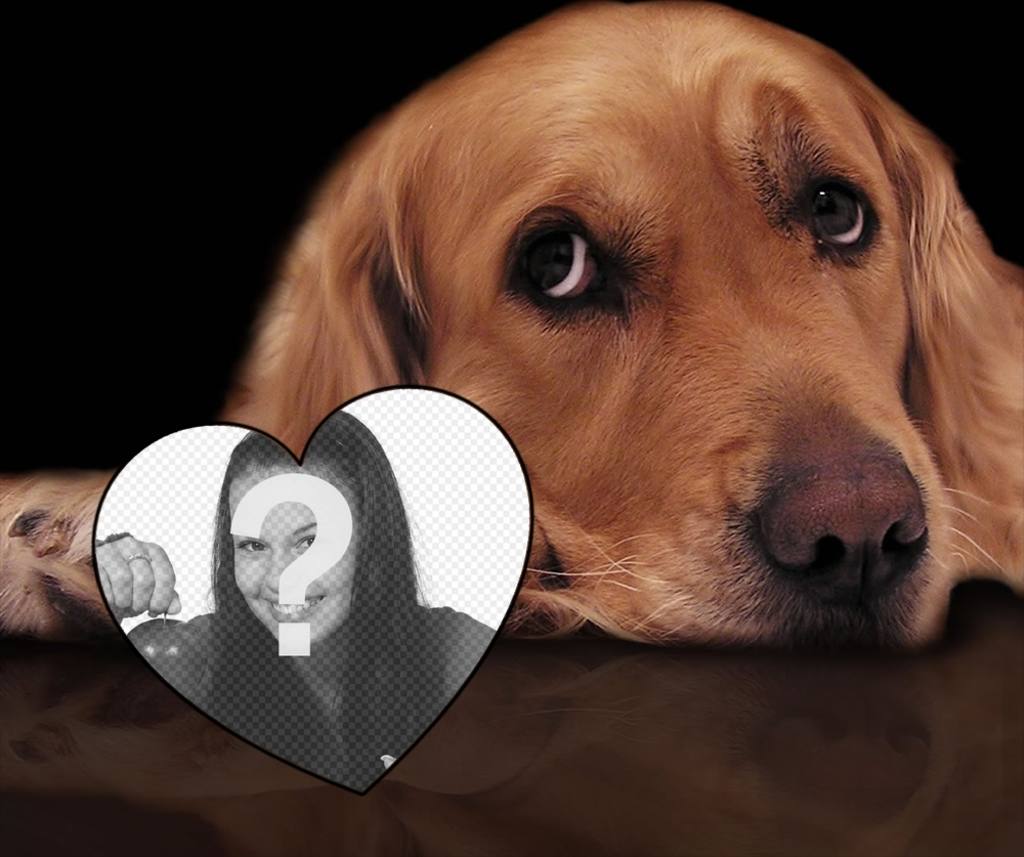 Fotomontaje de amor con un tierno perro para añadir tu foto a un corazón ..