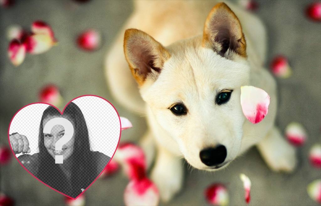Lindo foto efecto para añadir tu foto en un corazón junto con un cachorro ..