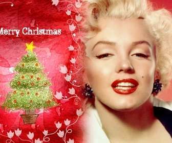 felicita fiestas marco fotos fondo rojo aparece un arbol navidad enredaderas blancas