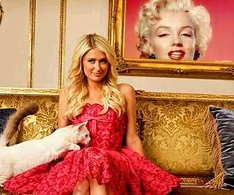 foto efectos salir un cuadro paris hilton