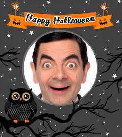 marco fotos halloween un buho
