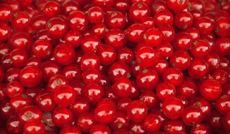 juego cerezas rojas encontrar foto