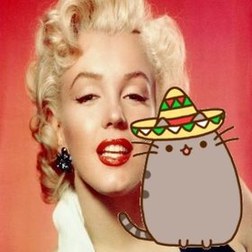 decoracion fotos un gatito gordo sombrero mariachi