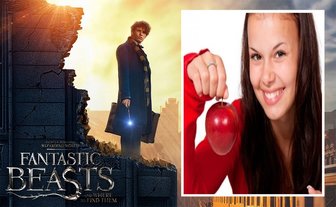 poster pelicula animales fantasticos anadir imagen