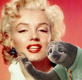 fotomontaje perezoso zootopia subir foto