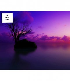 Puesta de sol, fondo de pantalla para twitter personalizable con tu foto