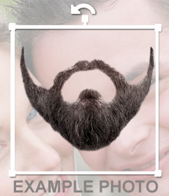 Barba marrón al estilo hipster que puedes ponerte en tus fotos online 