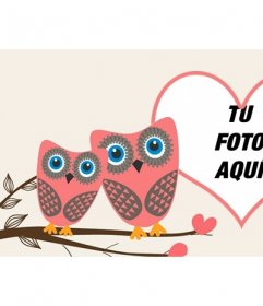 Foto de portada de Facebook de amor para personalizar con dos búhos -  Fotoefectos