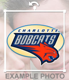 Sticker con el logo de los Charlotte Bobcats