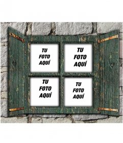Collage para poner cuatro fotos en una ventana de madera verde sobre una pared de