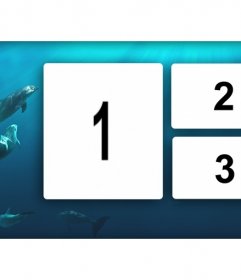 Collage de 3 fotos con un fondo azul con delfines en el mar