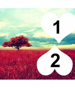 Collage para dos fotos en forma de corazón sobre  fondo rosado de campo y cielo de