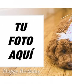 Fotomontaje de cumpleaños con un perro para tu foto 