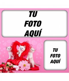 Fotomontaje romántico con gatitos y corazones 