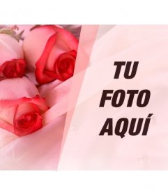Fotomontaje de amor para poner la foto de tu pareja con unas rosas sobre -  Fotoefectos