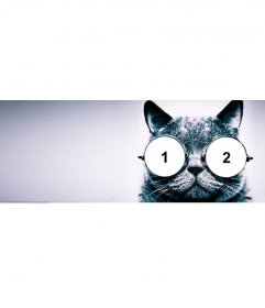 Portada para Facebook personalizable con un gato con gafas - Fotoefectos