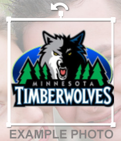 Logo de los Minnesota Timberwolves en pegatina