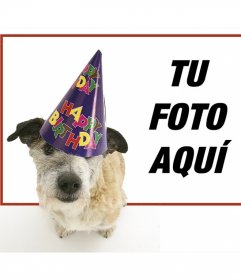 Marco de cumpleaños con un perrito con gorro de fiesta en primer plano