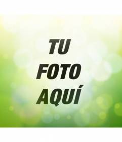 Filtro fotográfico verde con luces brillantes circulares para hacer online y gratis