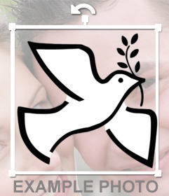 Sticker online para pegar la paloma blanca de la paz en tus imágenes 