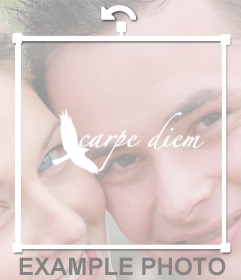 Foto efecto para poner en tus fotos la frase CARPE DIEM 