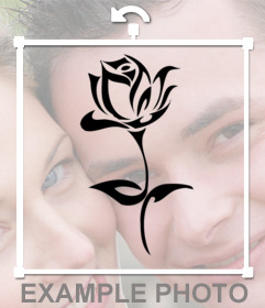 Foto efecto para ponerte un tatuaje de rosa en tus fotos y gratis 