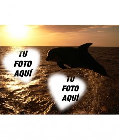 Tarjeta personalizable para dos fotos en forma de corazones y un delfín