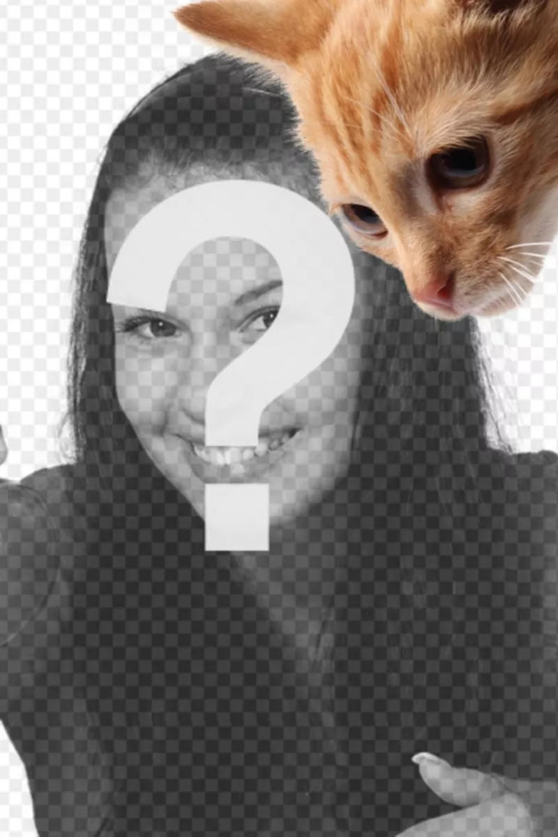 Añade un gatito a tus fotos y personalizarlas también con un texto de manera..