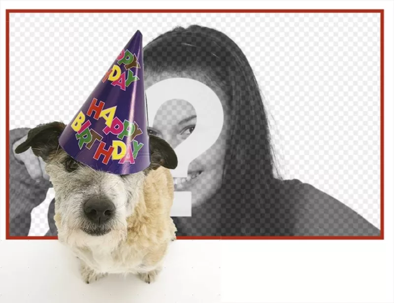 Marco de cumpleaños con un perrito con gorro de fiesta en primer plano. ..