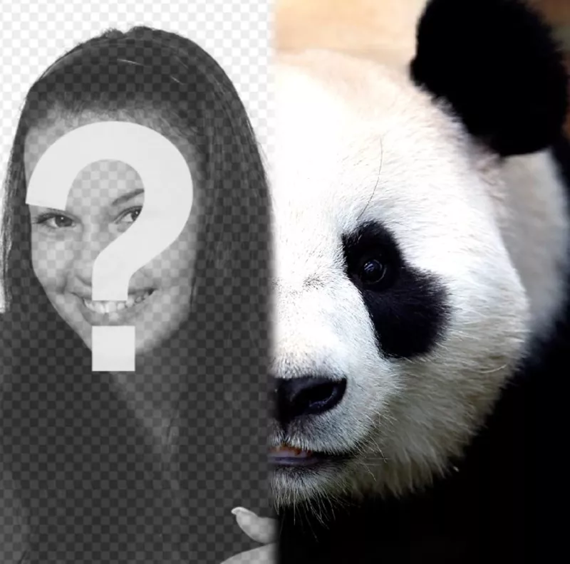 Transforma la mitad de tu cara en panda editándola con tu foto. ..