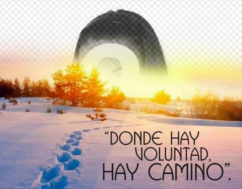 Postal Con Una Frase De Animo Fotoefectos