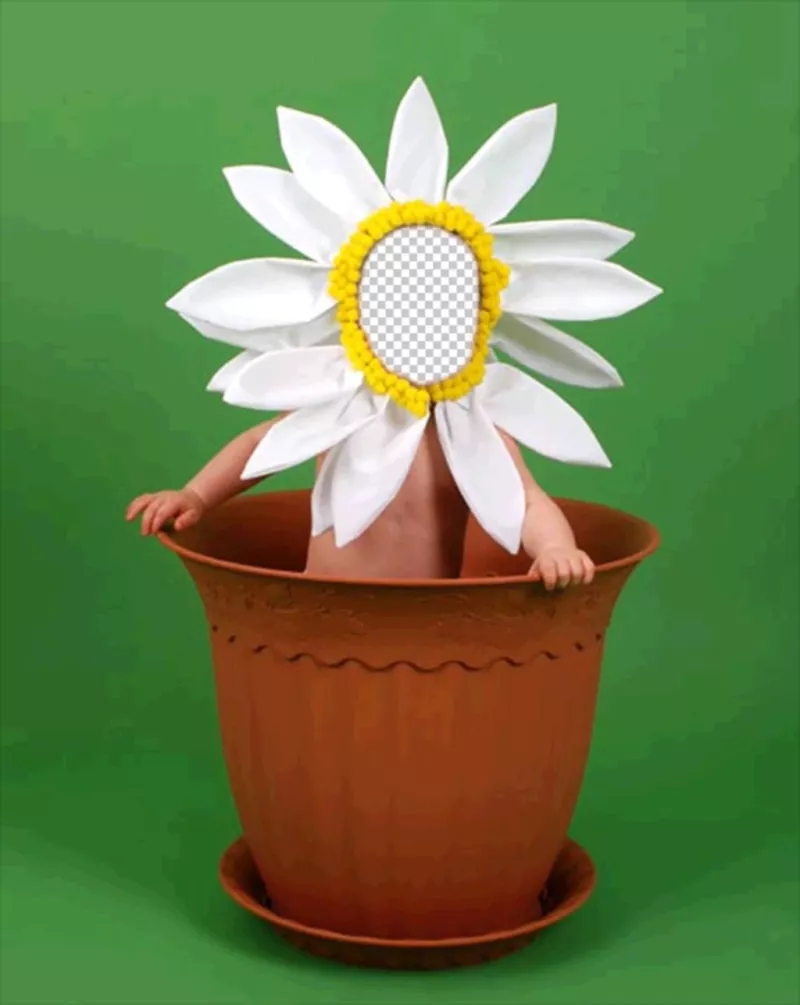 Fotomontaje para niños para disfrazarlos de una flor en una maceta ..
