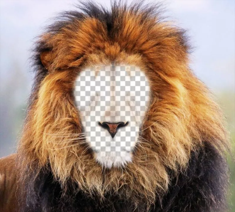 Fotomontaje de un león para poner tu cara online ..