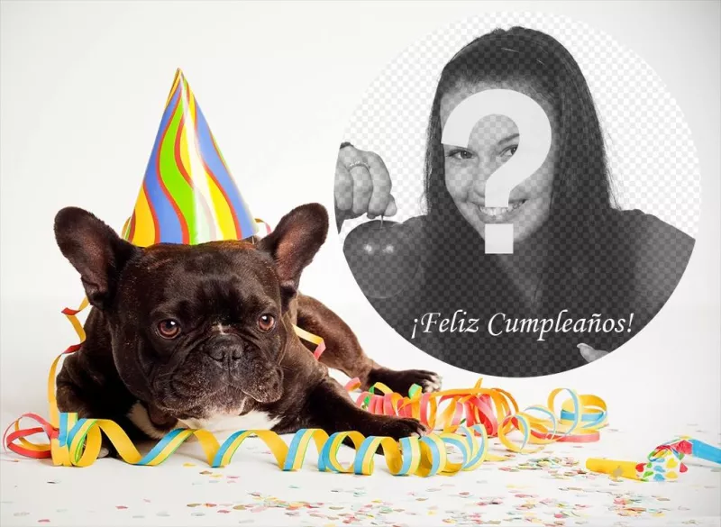 Fotomontaje de Cumpleaños con un perro para tu foto ..