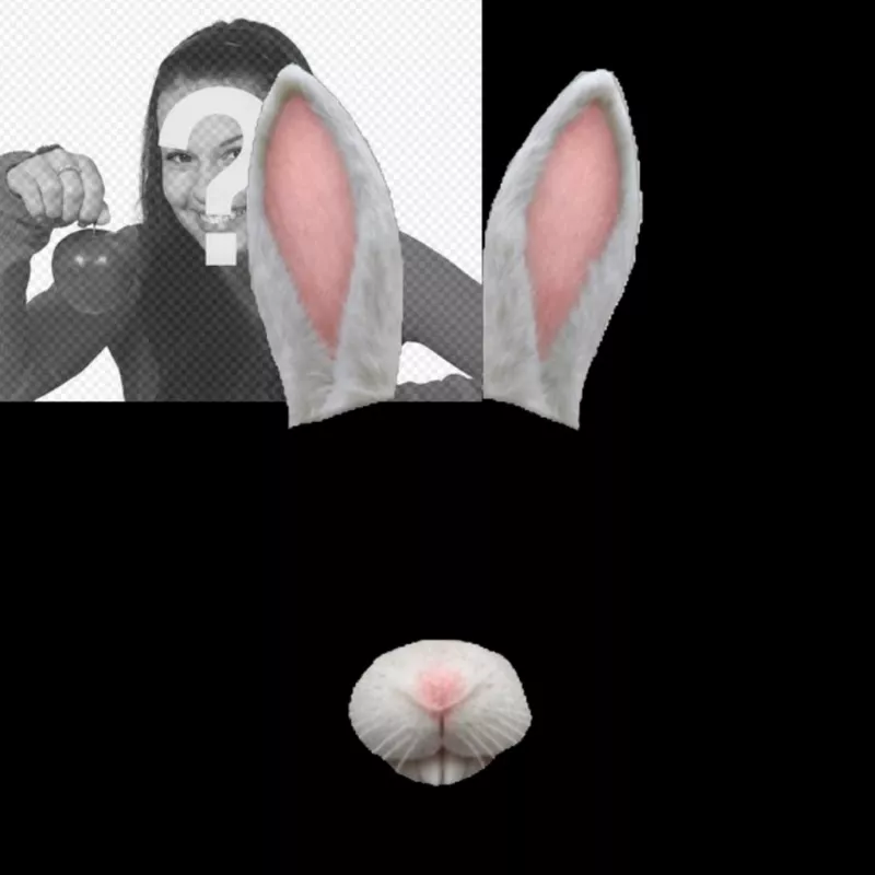 rabbit-ears-5..