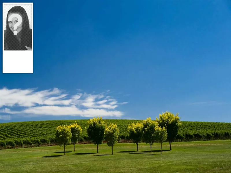 Fondo de pantalla para twitter con un cielo azul y viñas de fondo. Personalizado con tu..