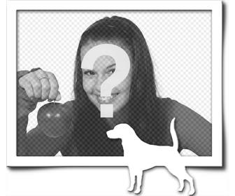 marco fotografia digital consta un borde gris silueta blanco un perro rabo levantado hubiera encontrado un rastro