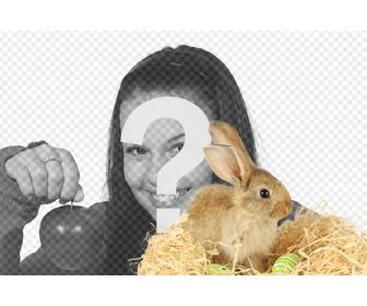 fotomontaje un conejo huevos pascua agregar fotografias online gratis