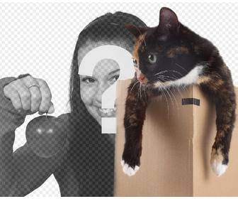 fotomontaje poner gatita caja fotografias
