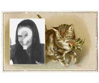 tarjeta navidad un gato pardo vintage dibujado un acebo boca un recuadro colocar fotografia