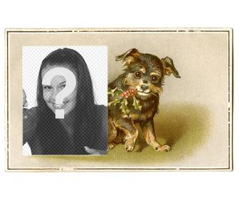 tarjeta navidad vintage un perrito negro marron sonriente dibujado sujetando rama acebo boca