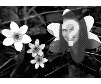 collage foto flores blanco negro foto subida forma flor