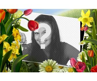 marco fotos dibujos flores plantas primavera